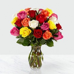 Mixed Rose