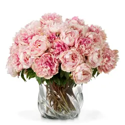 Peonies